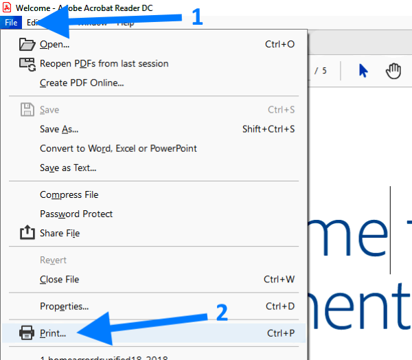 Click file, print